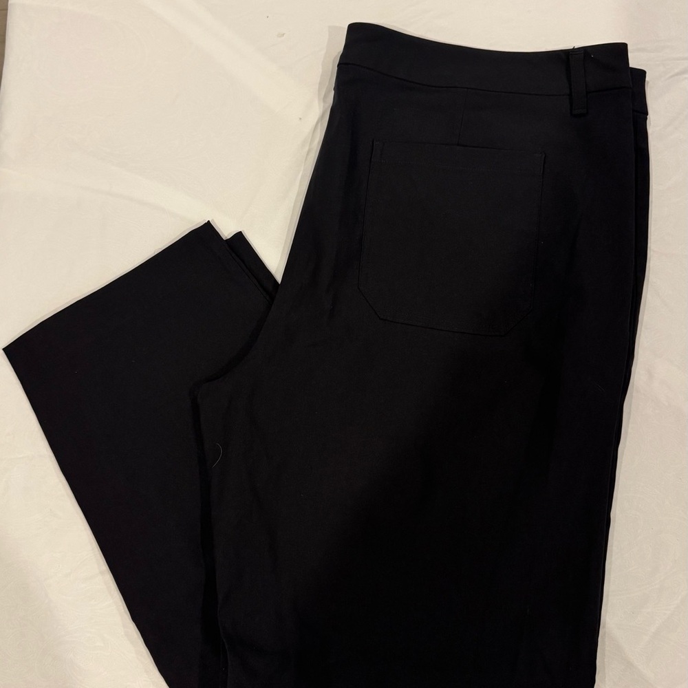 Terra & Sky Black Women's Pants